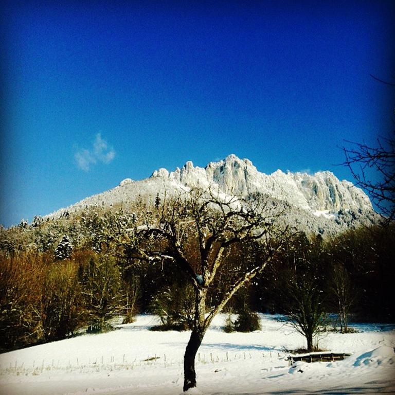 Village Vacances Les Alerions Talloires Exterior photo